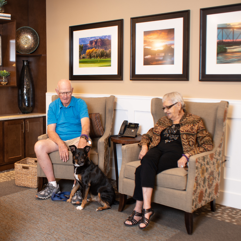 residents in lobby petting dog square